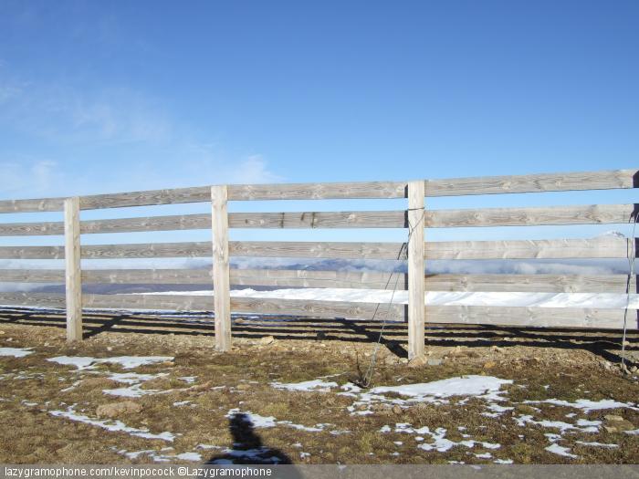 Fence & Sky