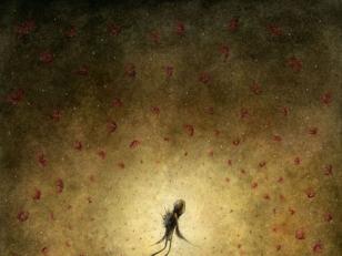 Jeannie Paske