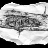 Welcome to the
Land of Phutt